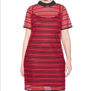 Eloquii Collared Lace Easy Dress